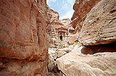 Petra stock photographs